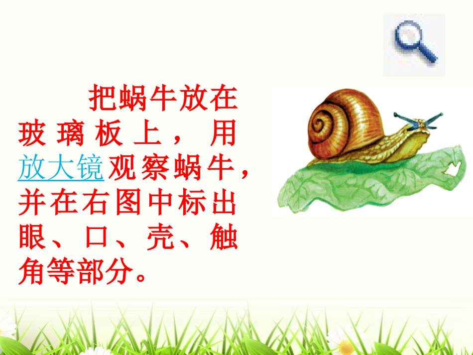 七年级生物上册_观察植物_动物细胞实验课课件_人教新课标_第3页