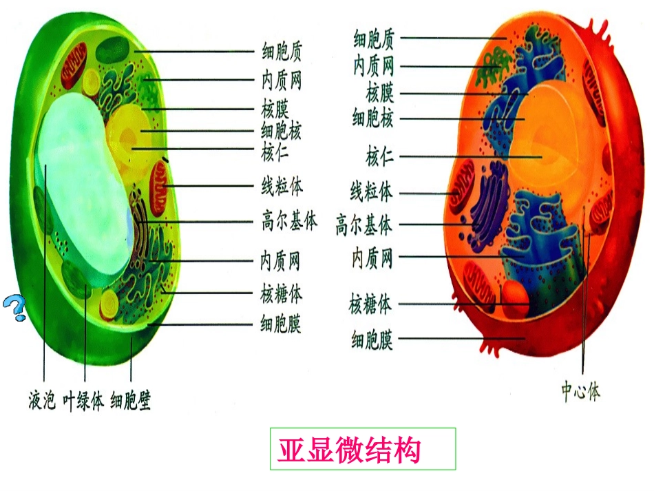 一轮复习(定)专题2 细胞的结构和功能_第2页