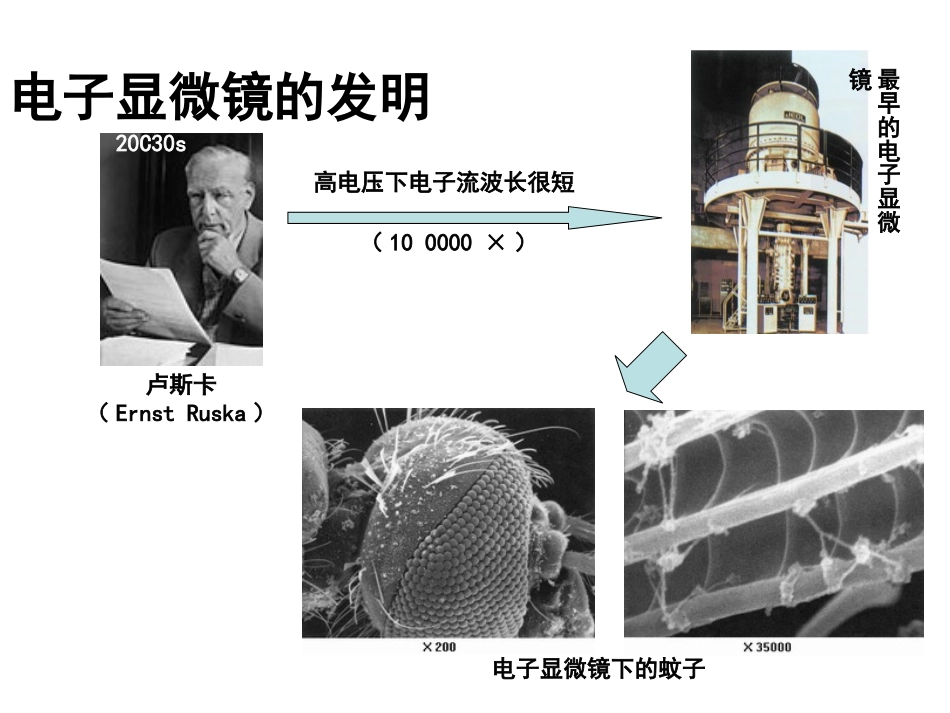 一轮复习(定)专题2 细胞的结构和功能_第3页