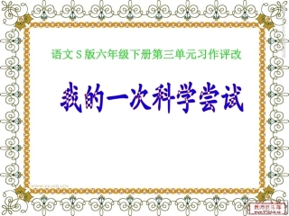 一次科学尝试作文评改