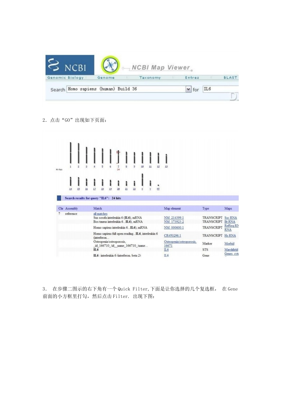 一步一步教你使用 NCBI 查找DNA_第2页
