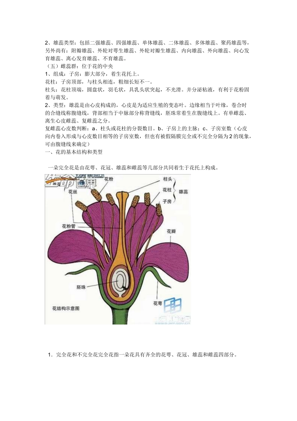 一些植物形态学术语 -_第2页