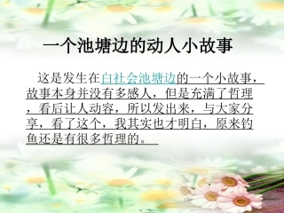 一个池塘边的动人小故事