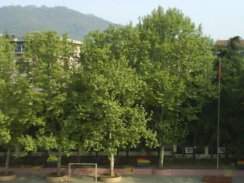 《许多物种消失了》教学课件_第2页