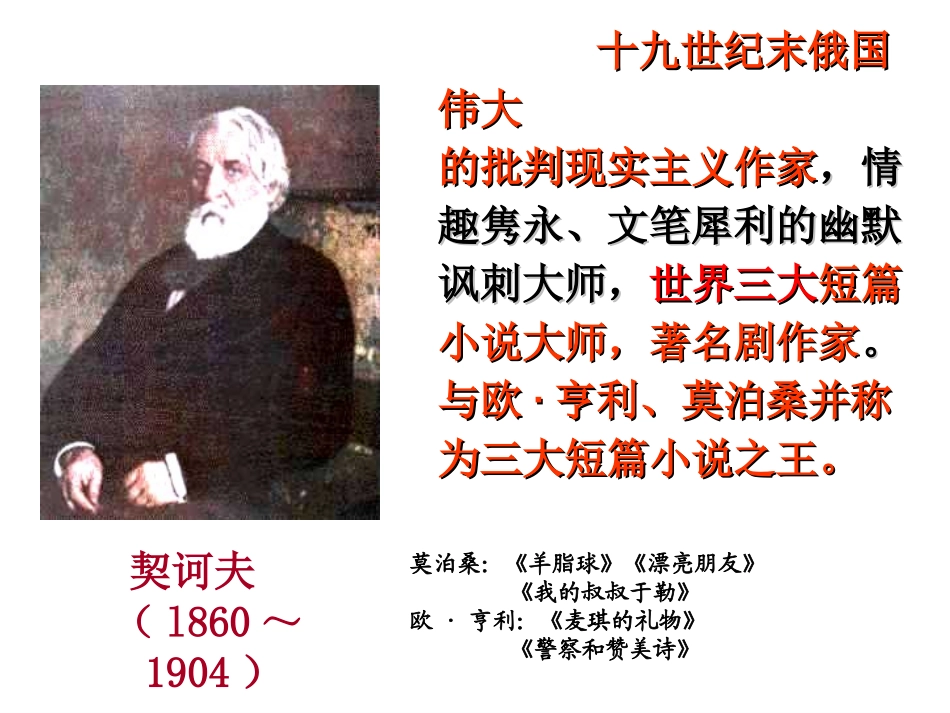 《装在套子里的人》课件_第3页