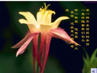 《给儿子的一封信》感人的