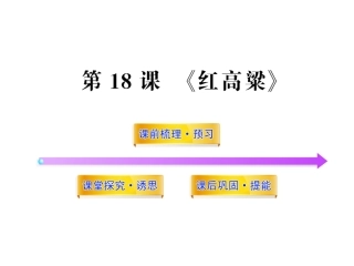 《红高粱》之《罗汉大爷》(新人教版·选修)(37张ppt)