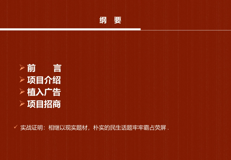 《王海涛今年四十一》项目方案_第2页
