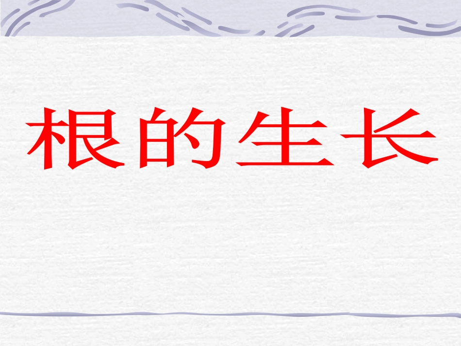 《根的生长》课件_第1页