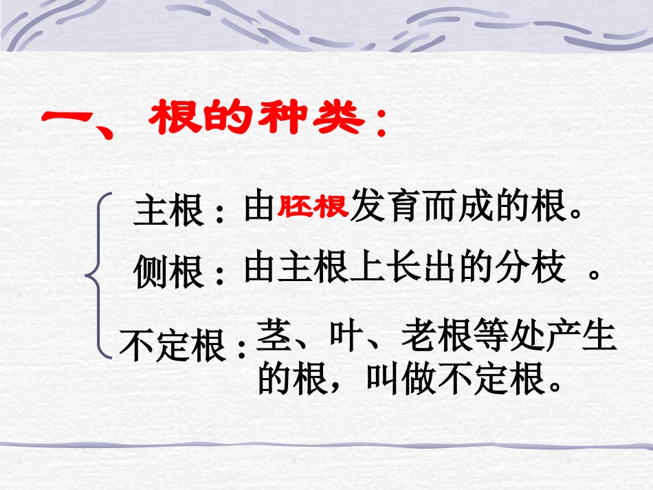 《根的生长》课件_第2页