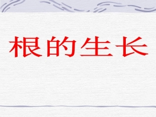 《根的生长》课件