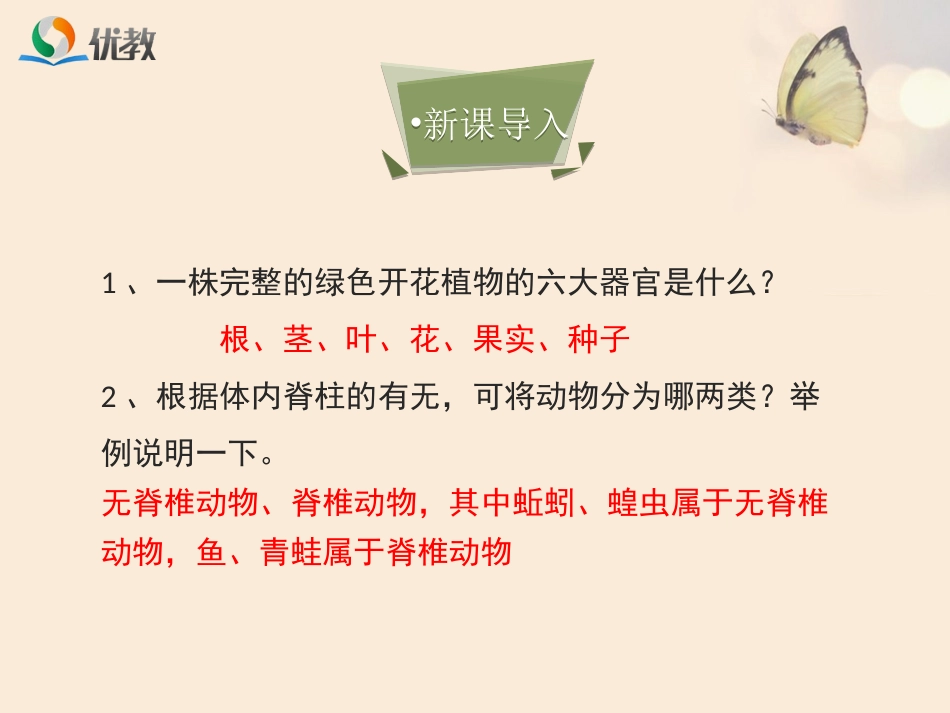 《尝试对生物进行分类》优教课件_第3页