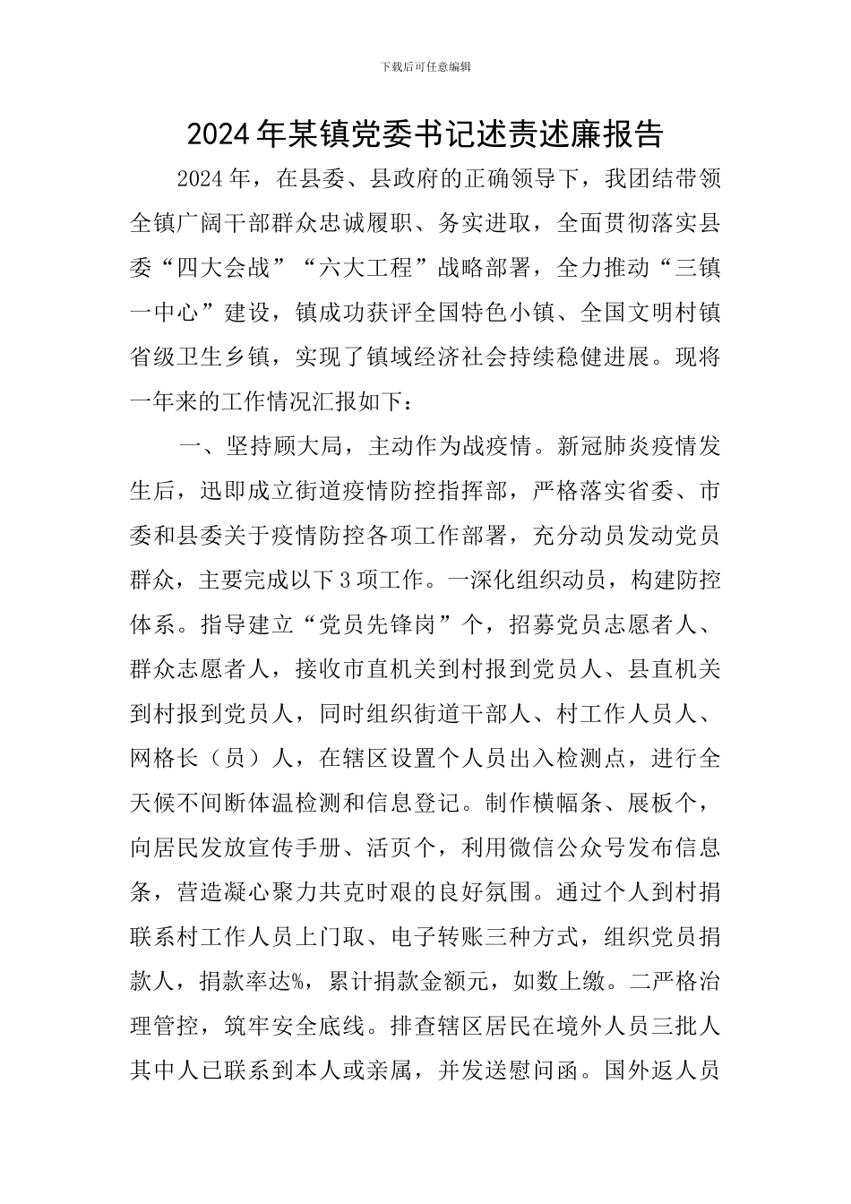 2024年某镇党委书记述责述廉报告_第1页