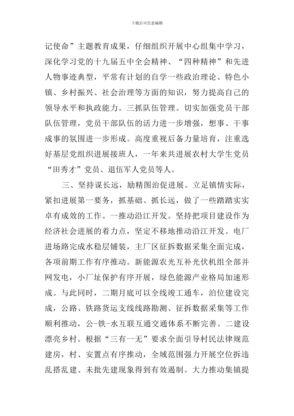 2024年某镇党委书记述责述廉报告_第3页