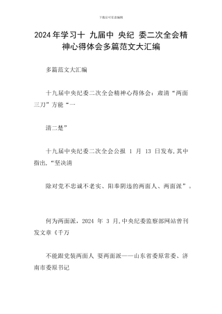 2024年学习十-九届中-央纪-委二次全会精神心得体会多篇范文大汇编
