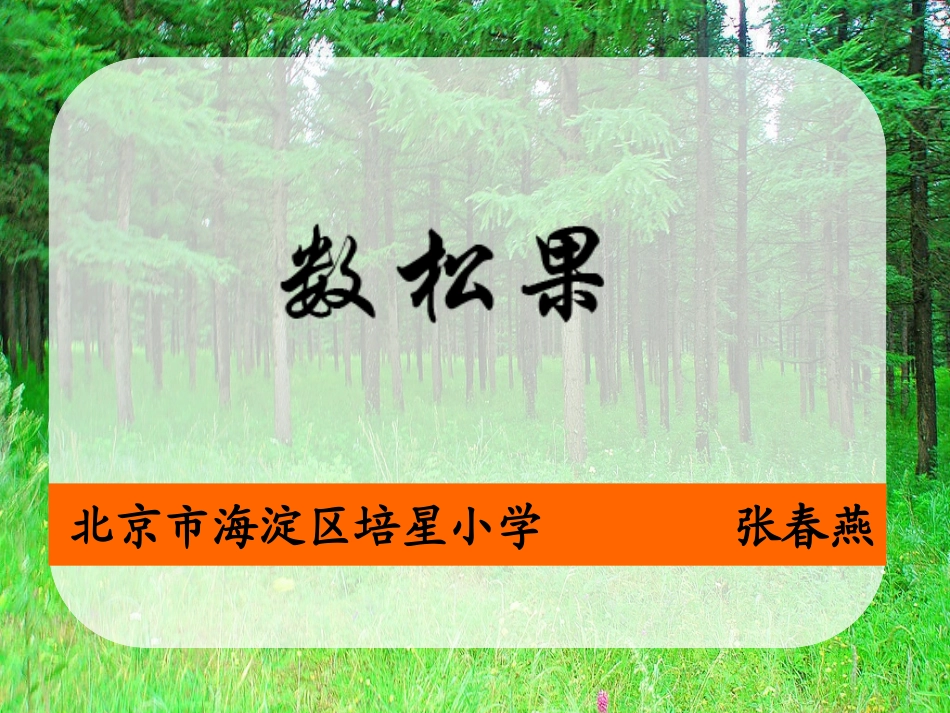 “数松果”上课_第1页