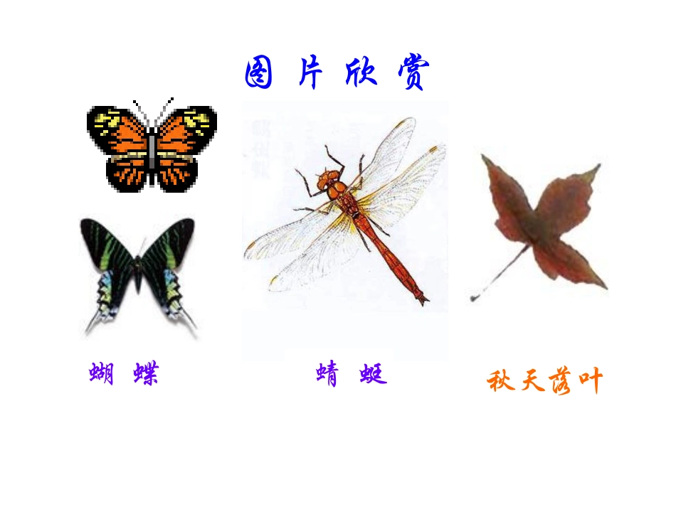 (青岛版)五年级数学对称、平移和旋转课件_第2页