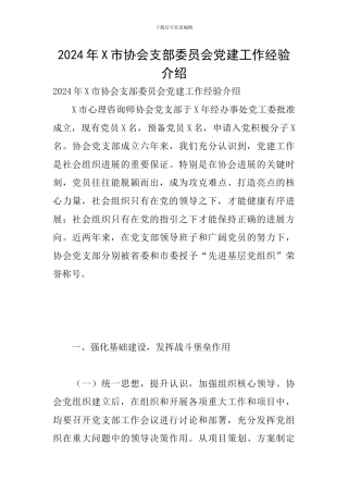 2024年X市协会支部委员会党建工作经验介绍