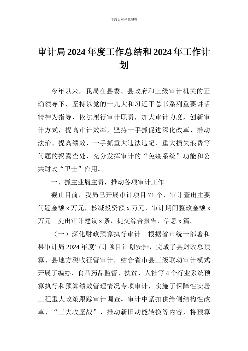 审计局2024年度工作总结和2024年工作计划_第1页