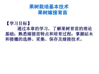 果树嫁接育苗