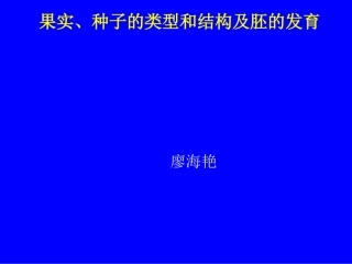 果实的结构与类型2