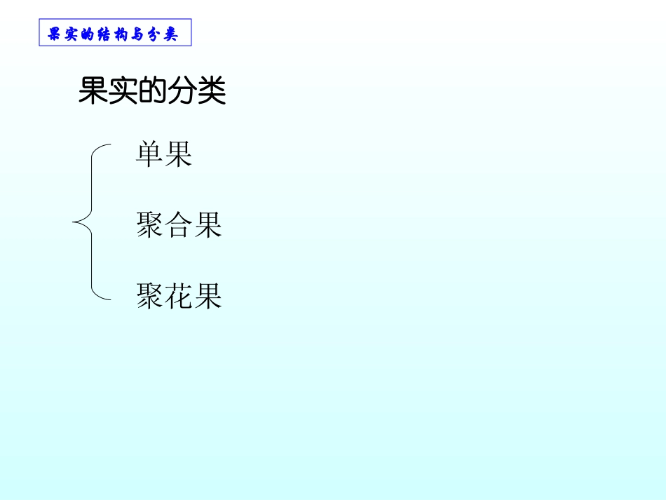 果实的结构 PPT (首师大版)四年级下册科学PPT课件_第3页