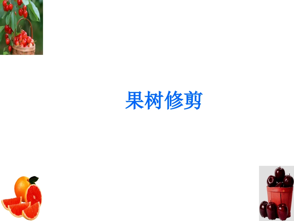 果树修剪调节生理-实习_第1页