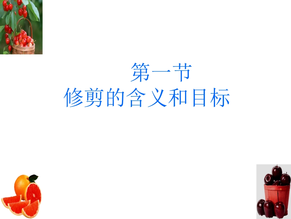 果树修剪调节生理-实习_第3页
