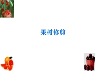 果树修剪调节生理-实习
