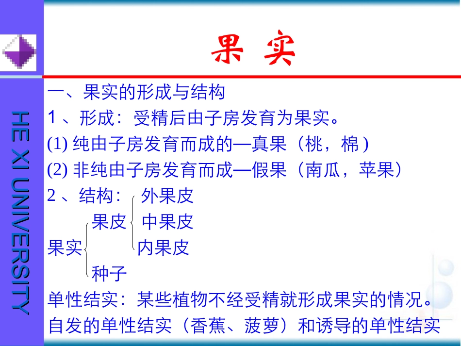 果实的结构与类型1_第2页