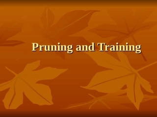 果树修剪与整形英文版