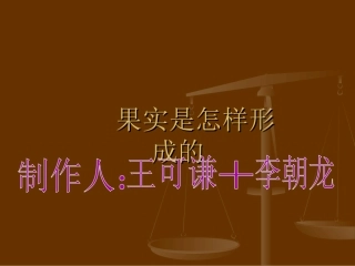 果实是怎样形成的