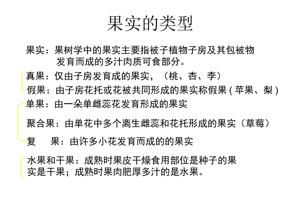 果实形成和发育_第2页