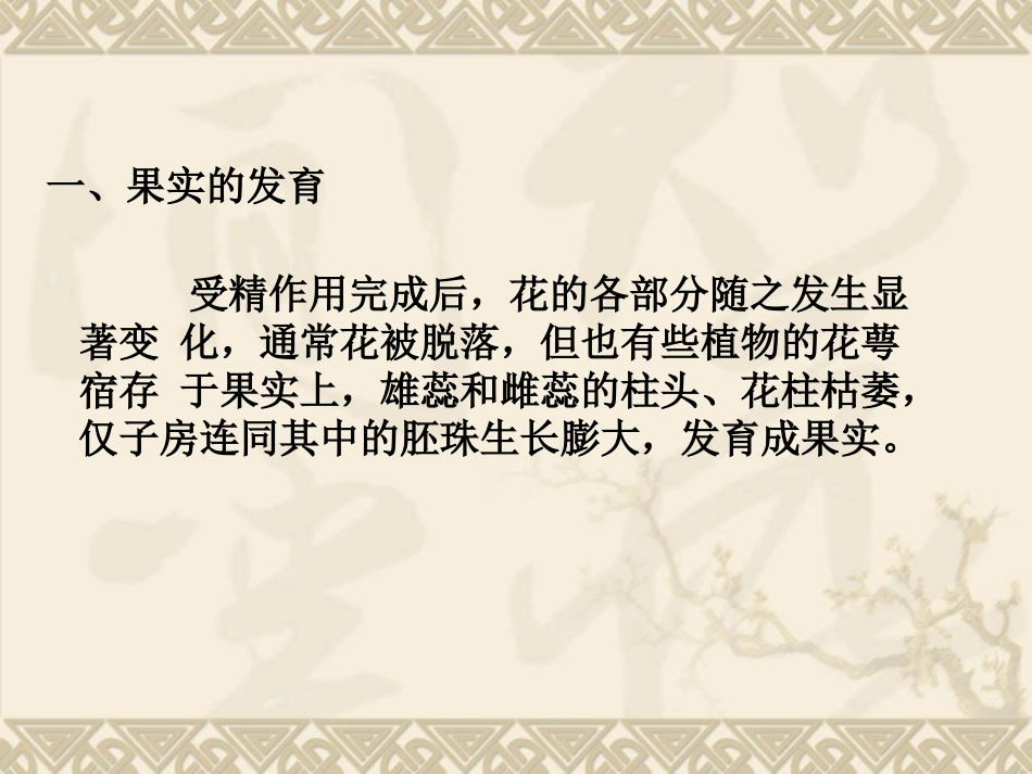 果实的发育与结构_第2页