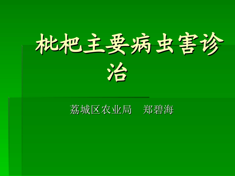 枇杷主要病虫害诊治_第1页