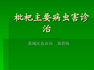 枇杷主要病虫害诊治