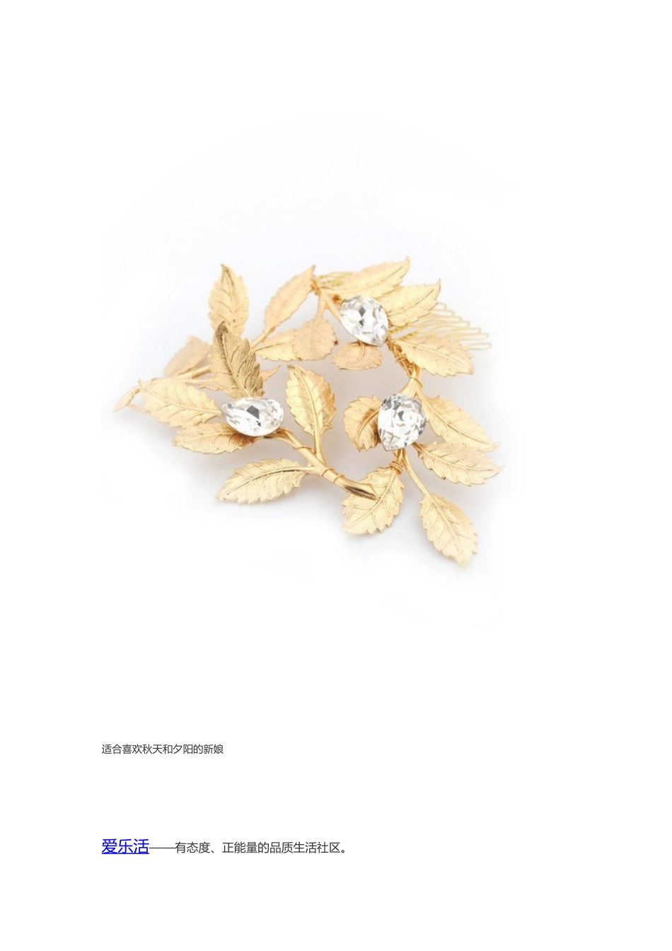 来相约吧美丽的夕阳新娘——高品质华丽新娘头饰_第3页