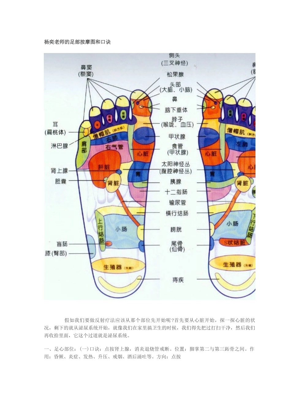 杨奕老师的足部按摩图和口诀_第1页