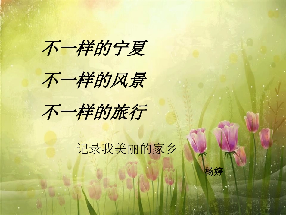杨婷—映像宁夏_第1页