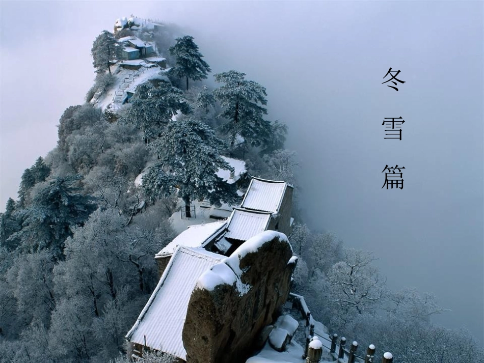 杨婷—映像宁夏_第3页