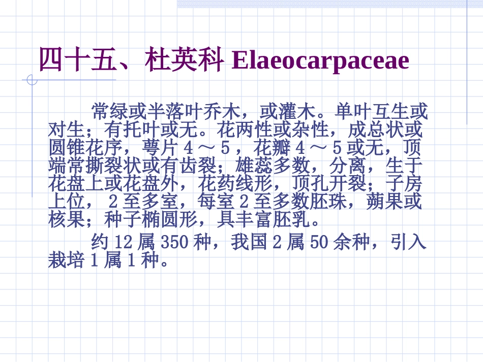杜英科Elaeocarpaceae_第1页