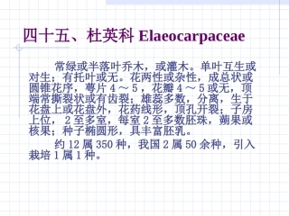 杜英科Elaeocarpaceae