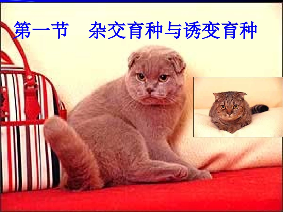 杂交育种和有变育种_第1页
