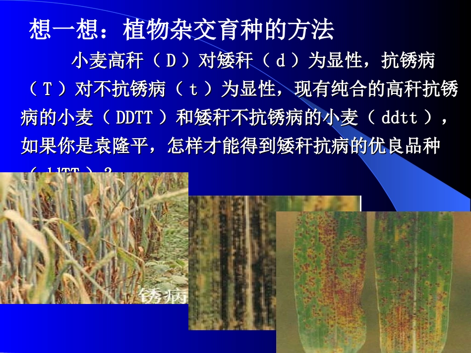 杂交育种和有变育种_第3页