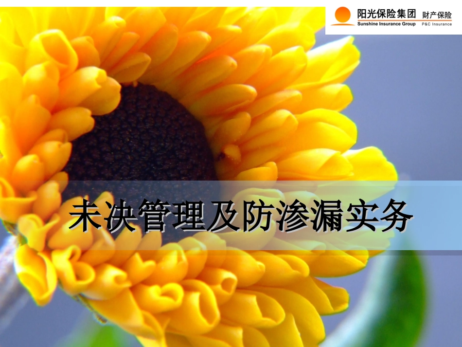 未决实务及防渗漏实务培训_第1页