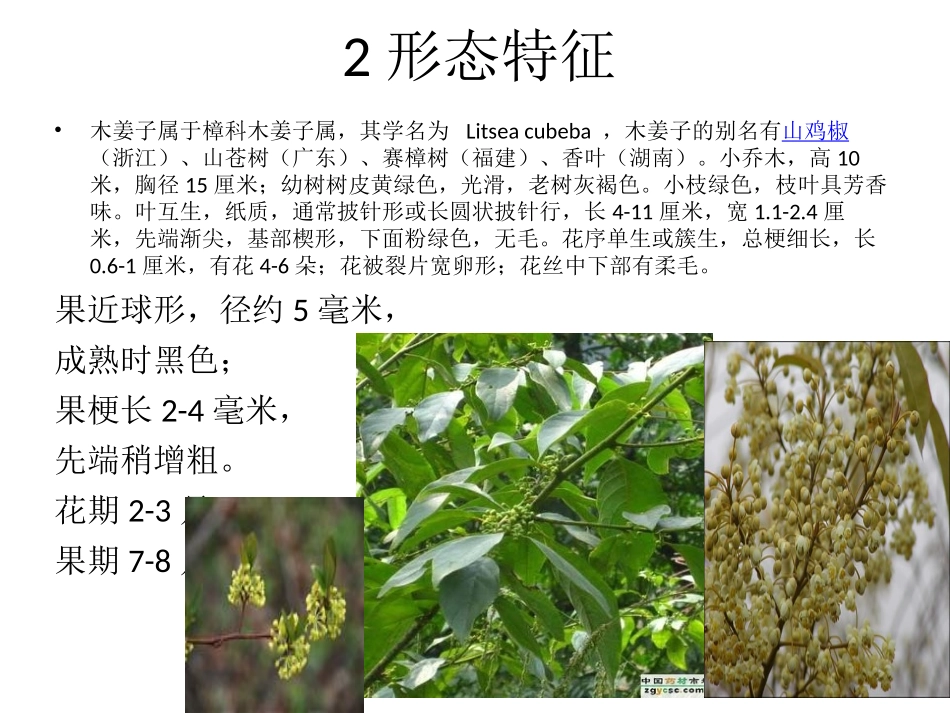 木姜子栽培技术_第3页