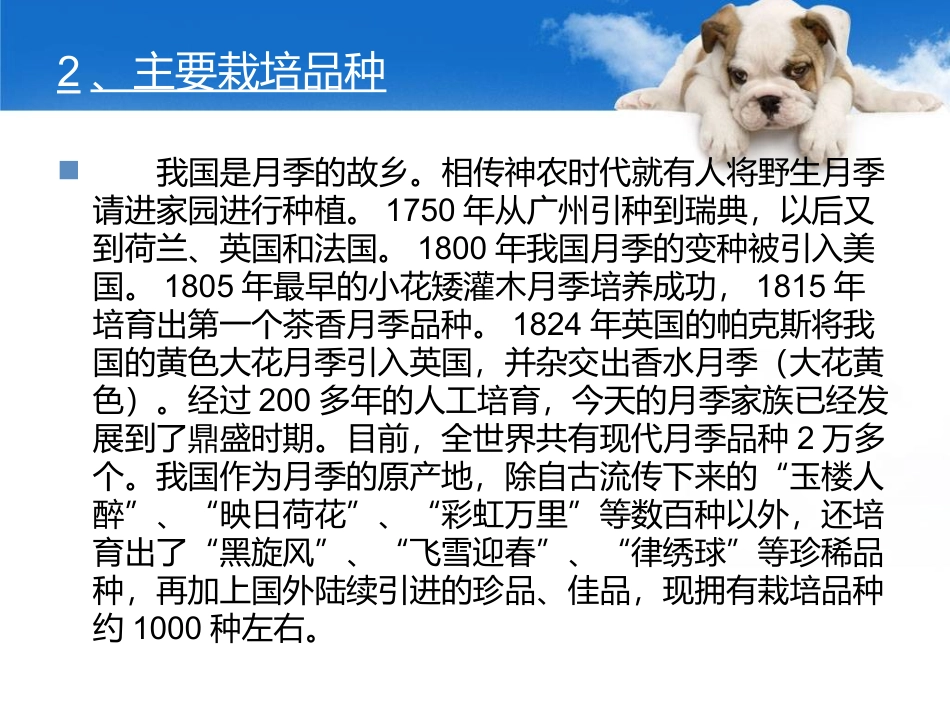 月季栽培12_第3页