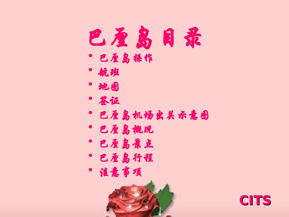 最新旅游产品培训：巴厘岛培训手册_第2页