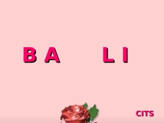 最新旅游产品培训：巴厘岛培训手册