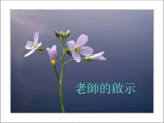 最感人的人生教材之老师的启示
